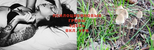 стафф Баксан